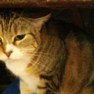 Meet your Posher, Fiona